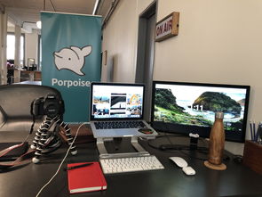 新项目网赚部落日入500＋手机电脑模拟器多开褂机可多开褂机无需人工