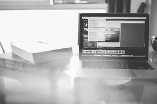 2024年短视频自动引流推广拓客软件