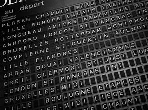 世界脑王排名 最强大脑排行全世界最强的大脑是哪个公司