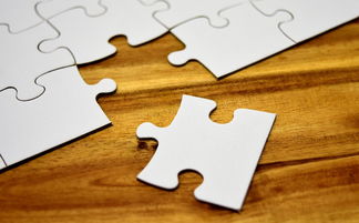 世界上最好的扑克牌,世界上最牛的牌