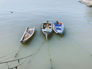 我国最北端和最东端在哪里，中国最东端和最北点