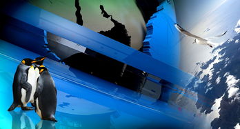 神兽的力量用了就没有了吗?,神兽力量十大排名