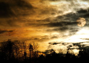 世界上最诡异云,世界上最诡异14张图