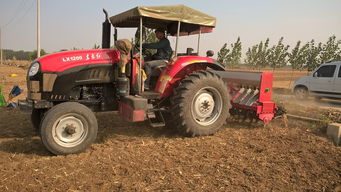 历年机皇，2024机皇十大排名