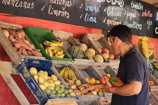 贵州洋芋品牌十大排名图片，贵州洋芋品牌十大排名