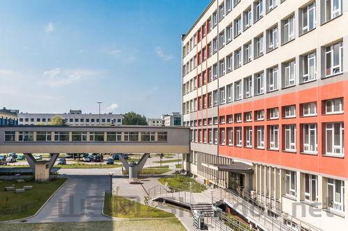 深圳大专十大排名及分数，深圳的专科大学排名及分数线