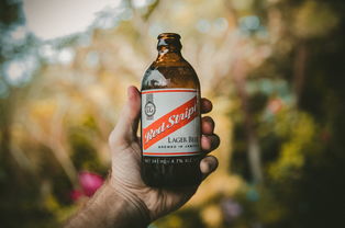 世界啤酒总营收排名前十，世界啤酒份额
