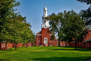 世界十大排名上海大学有哪些，世界十大排名上海大学