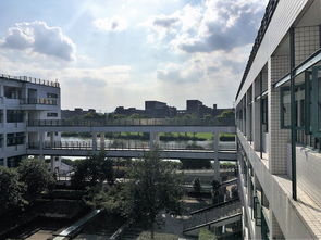 杭师疫情最新,杭州师范大学 疫情