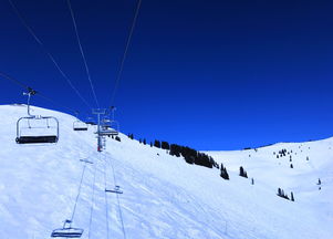 霞谷滑雪比赛时间,霞谷滑雪比赛时间