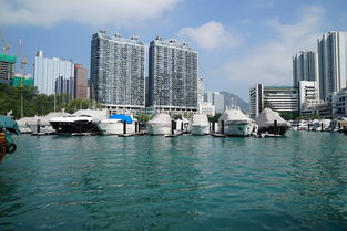 香港港口跌出世界前十，香港港口跌出世界前十名的原因