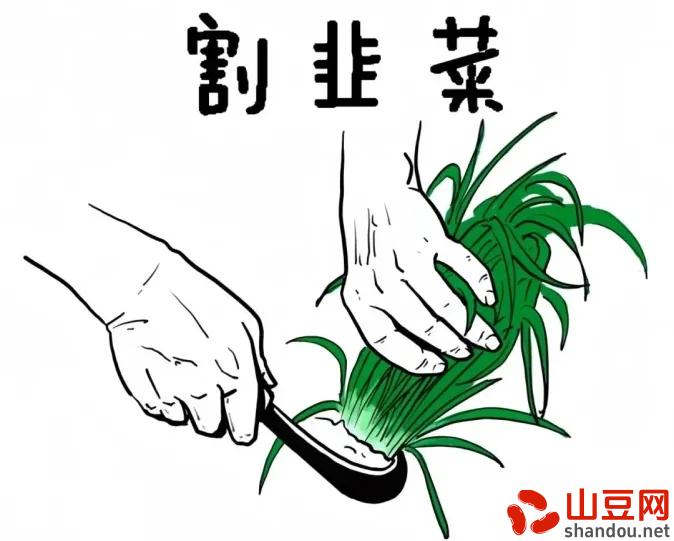 比赛时间s9,比赛时间世界杯