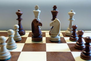 象棋女子比赛时间表,女子象棋比赛全程回放